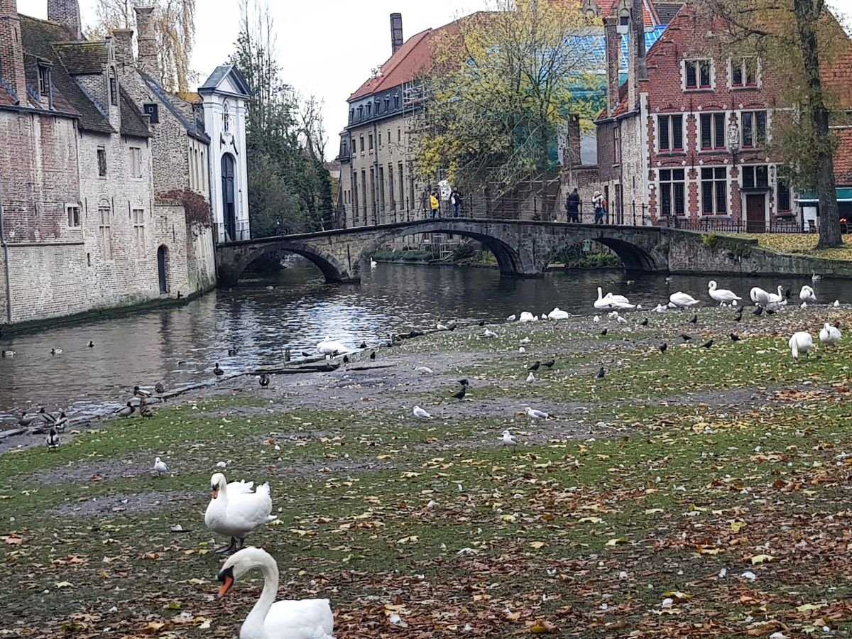 Lago del Amor en Brujas