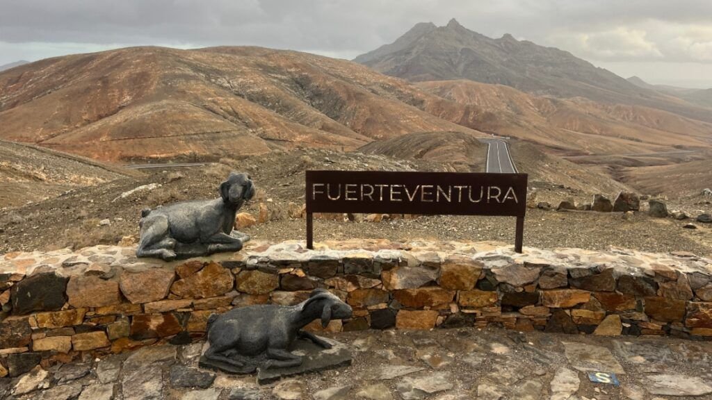 VIAJAR A FUERTEVENTURA