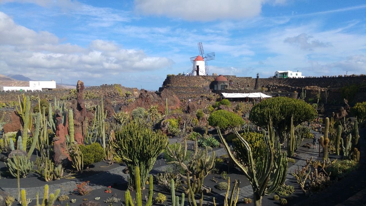 Paisaje volcánico de Lanzarote con montañas, mar y carreteras entre lava, una de las vistas más emblemáticas de la isla