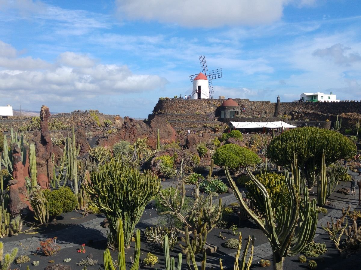 Vista del Jardín de Cactus en Guatiza, Lanzarote, obra de César Manrique con cientos de especies de cactus de todo el mundo.