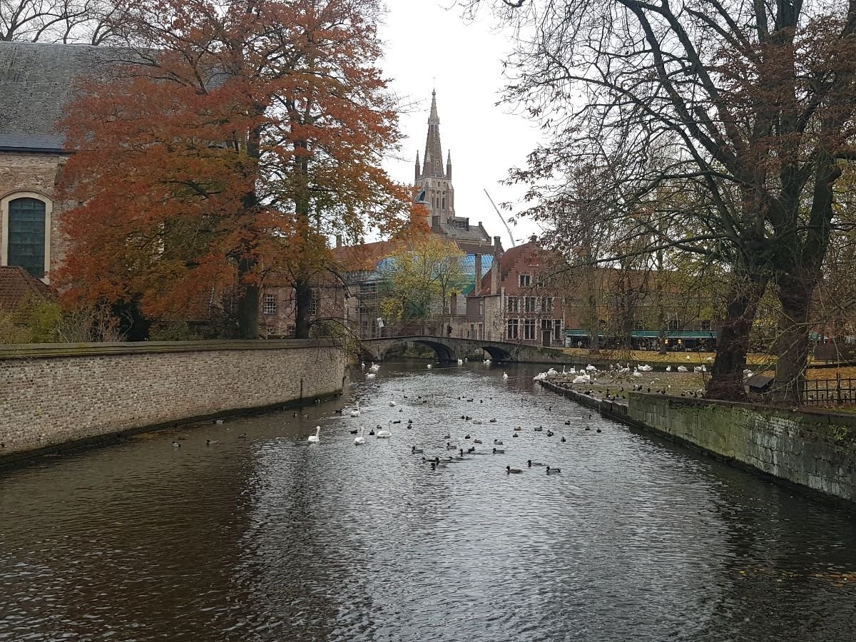 Canal de Brujas con cisnes y puente de piedra en el centro histórico de la ciudad