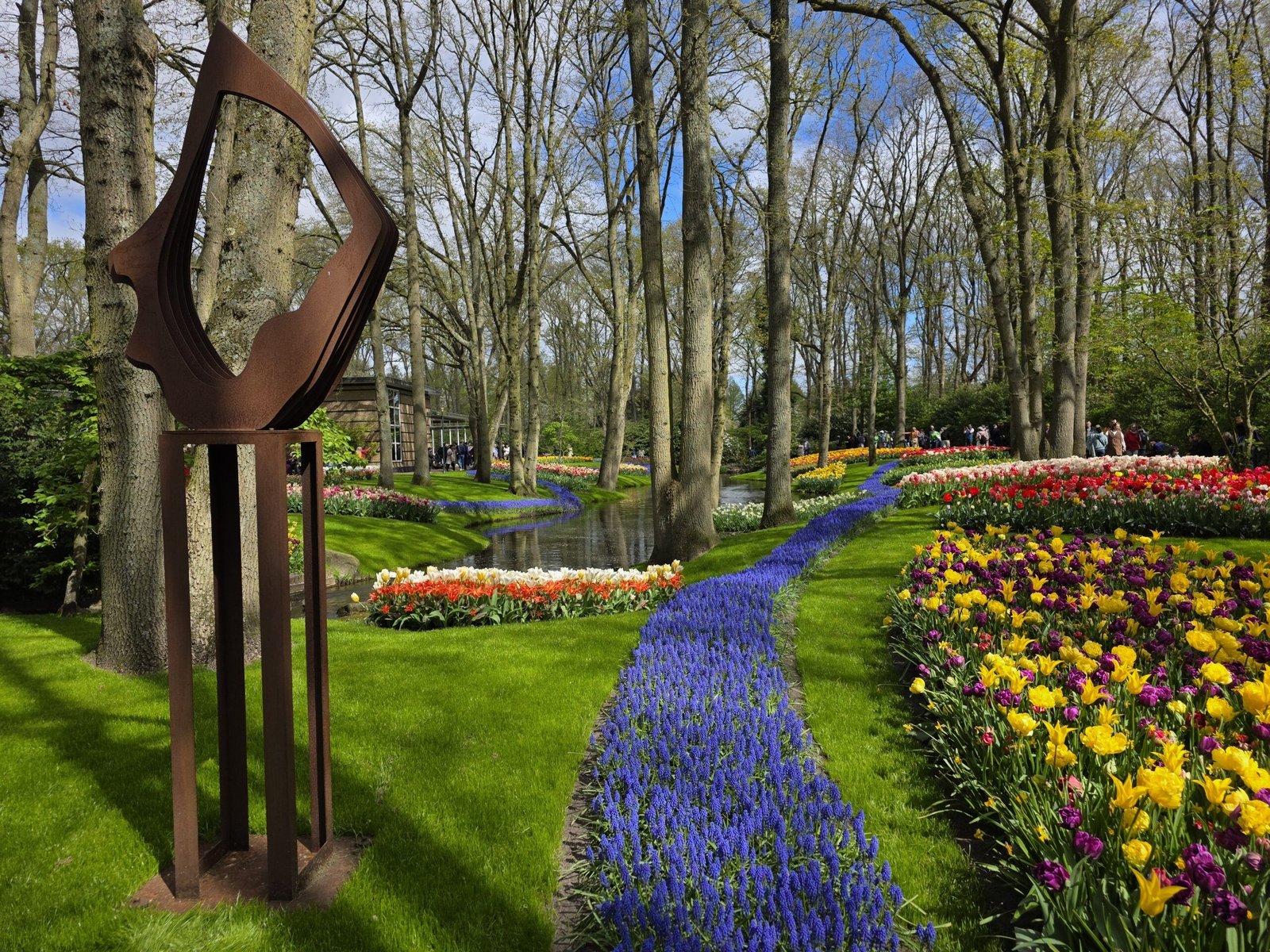 senderos entre flores en Keukenhof con tulipanes y muscari