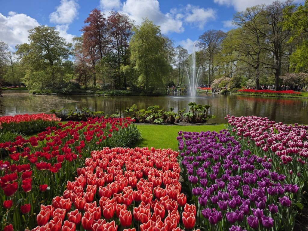 Visitar Keukenhof en primavera: lago con tulipanes en Holanda
